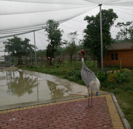 欧美黑吊大战白妞欧美大片