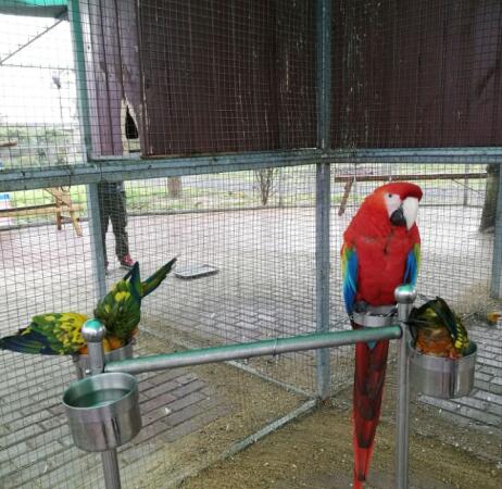 欧美黑吊大战白妞欧美大片