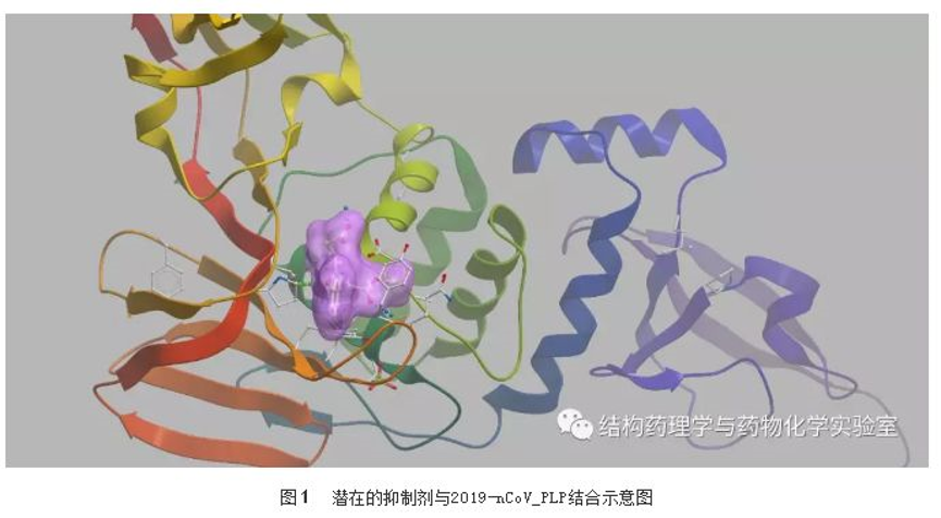 欧美黑吊大战白妞欧美大片